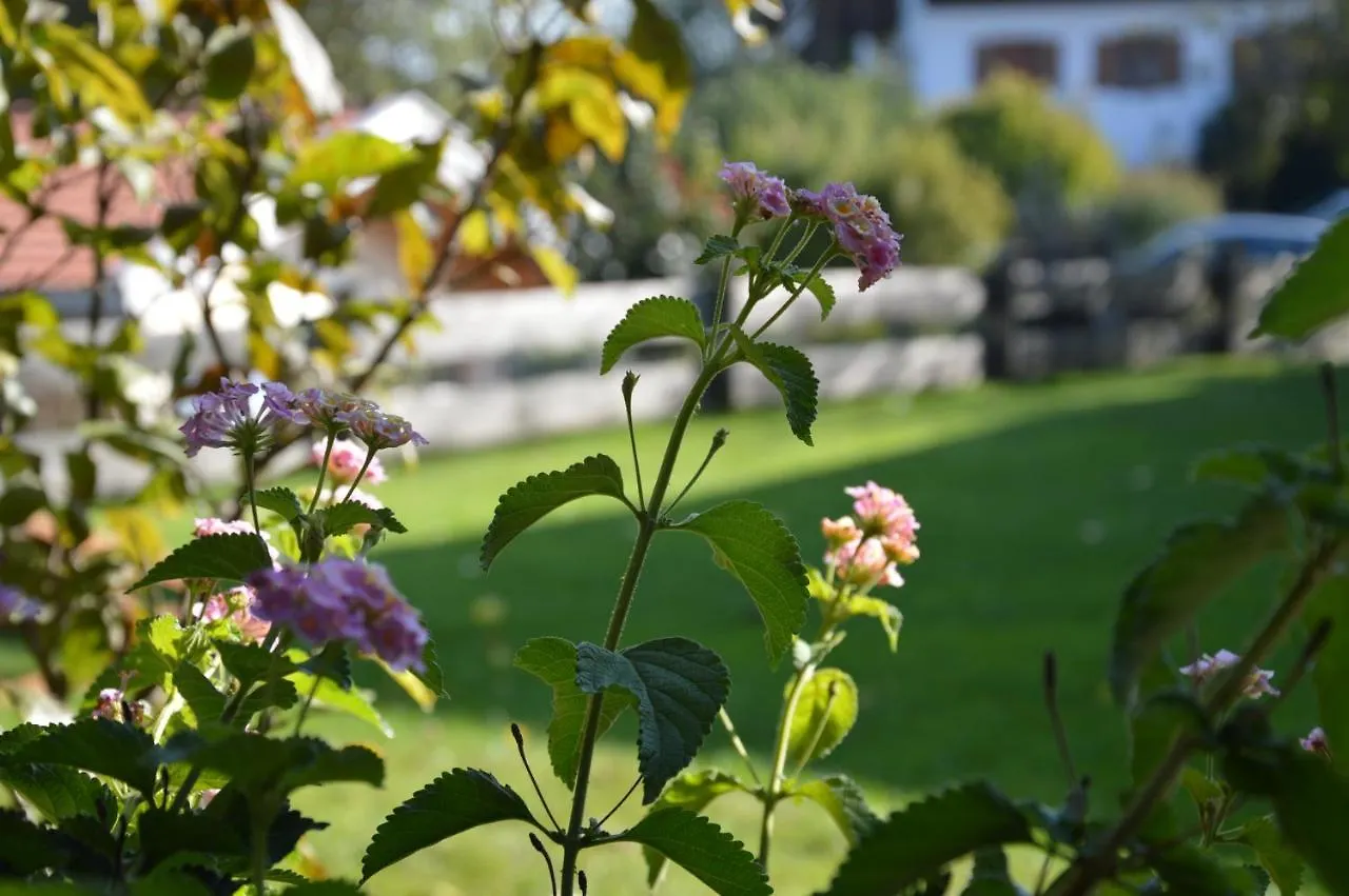Guest house Pension Willibald Bad Tolz